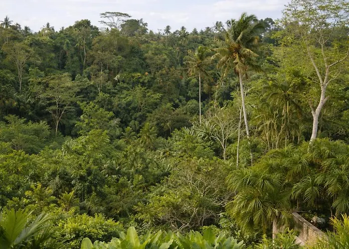 Prana Ubud 别墅 *